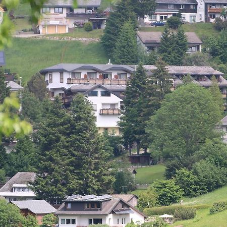 Todnauerberg Hotel Im Schwarzwald Todtnauberg Buitenkant foto