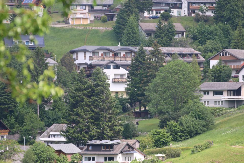 Todnauerberg Hotel Im Schwarzwald Todtnauberg Buitenkant foto