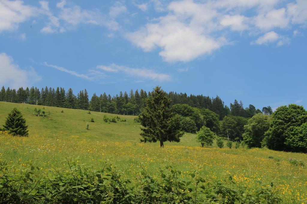 Todnauerberg Hotel Im Schwarzwald Todtnauberg Buitenkant foto