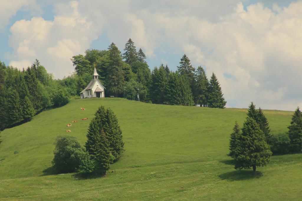Todnauerberg Hotel Im Schwarzwald Todtnauberg Buitenkant foto
