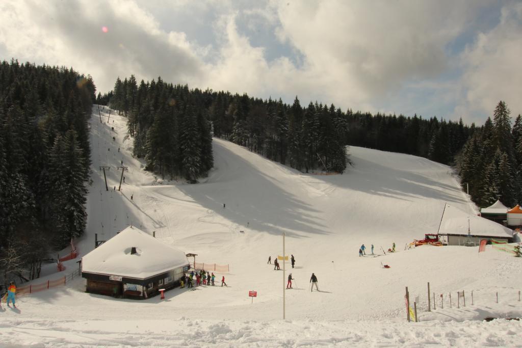 Todnauerberg Hotel Im Schwarzwald Todtnauberg Buitenkant foto