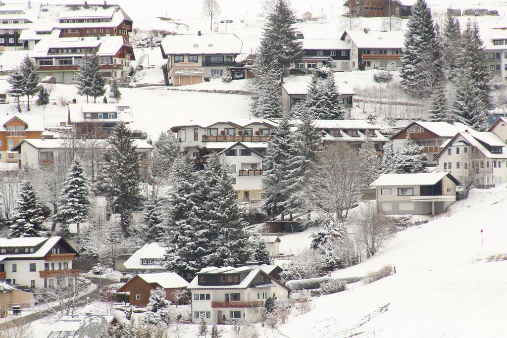 Todnauerberg Hotel Im Schwarzwald Todtnauberg Buitenkant foto
