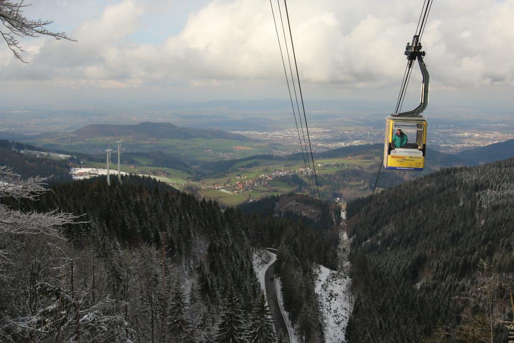 Todnauerberg Hotel Im Schwarzwald Todtnauberg Buitenkant foto
